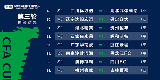 2024澳门最精准正版免费大全,社会承担实践战略_按需版9.163