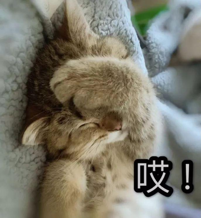 智慧电气火灾预警系统 第132页