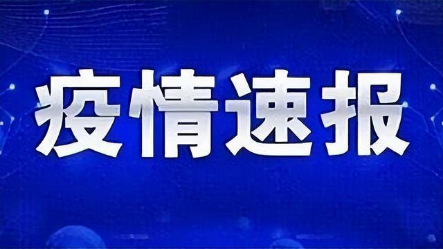 疫情最新报名论述，探究疫情现状与应对策略